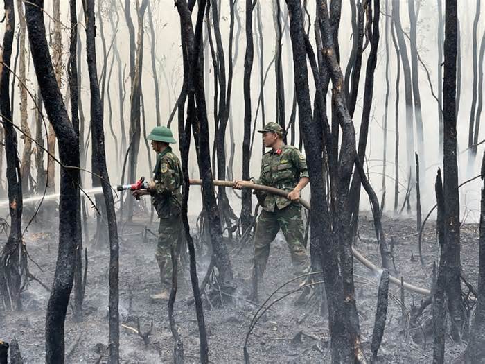 Đã dập được lửa cháy rừng ở Giang Thành