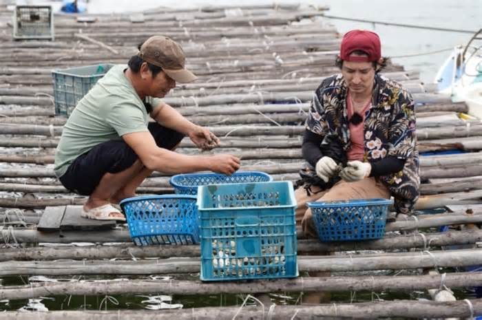 Huy Khánh bị thương khi đi bắt hải sản để kiếm tiền