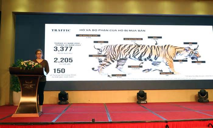 Việt Nam đang nuôi nhốt gần 400 cá thể hổ