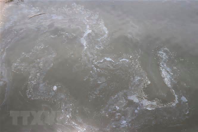 Ô nhiễm trên sông Sa Lung: Tỉnh Quảng Trị đề nghị Công an vào cuộc