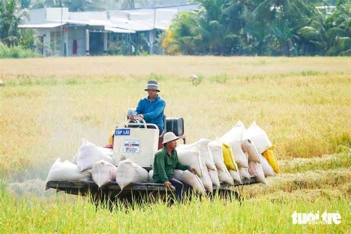 An Giang làm gì để phòng chống hạn, mặn mùa khô 2026?