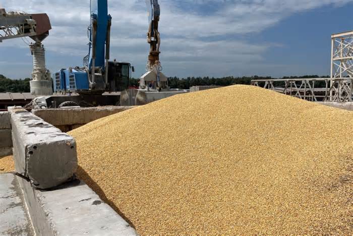 Ukraina có cung đường mới xuất khẩu ngũ cốc thay tuyến Biển Đen