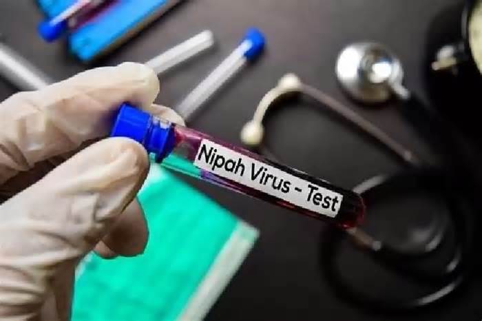 Bộ Y tế Indonesia kêu gọi cảnh giác cao độ đối với virus Nipah