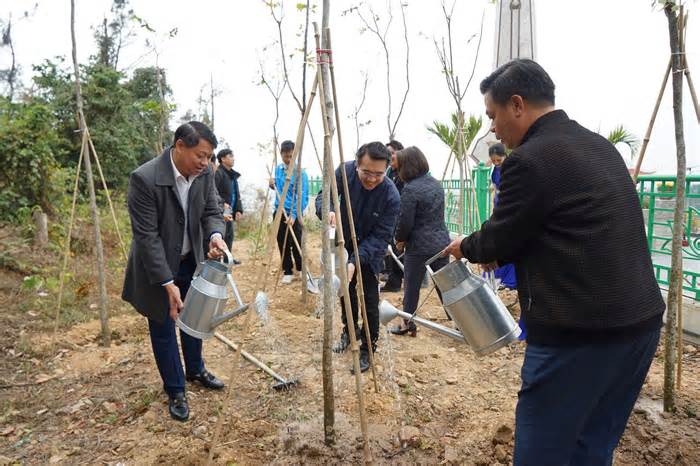 Tuổi trẻ Hải Phòng trồng cây đầu xuân Ất Tỵ 2025