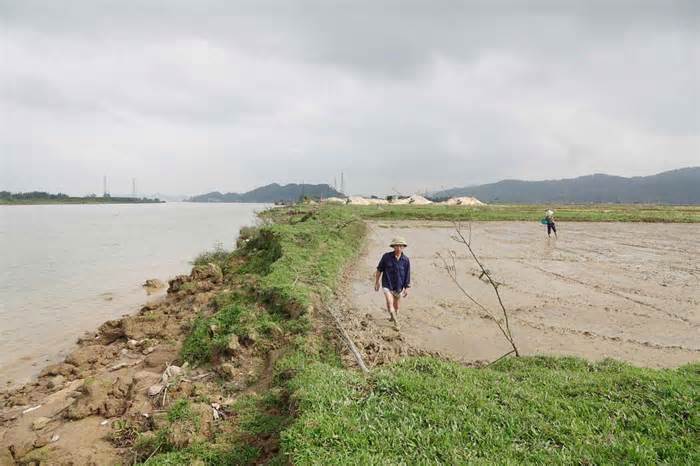 Lo lắng vì sạt lở bờ sông Lam nuốt đất sản xuất
