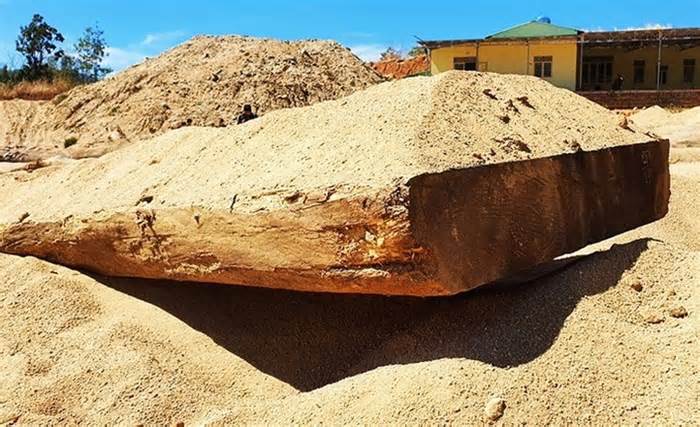 Kon Tum: Phát hiện lượng lớn gỗ lậu chôn giấu dưới cát