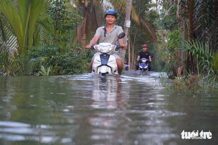 Bến Tre, Tiền Giang cảnh báo người dân kê cao đồ đạc để ứng phó với triều cường