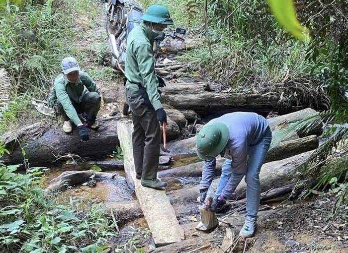 Lương thấp, việc nặng, hàng trăm nhân viên bảo vệ rừng Kon Tum nghỉ việc