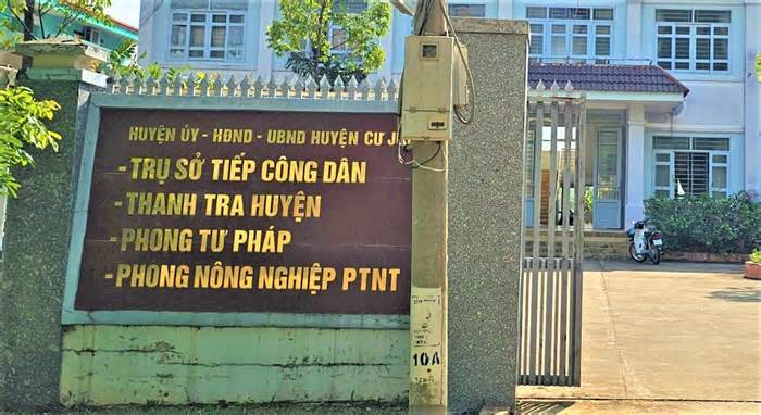 Trưởng phòng Tư pháp ở Đắk Nông xin lỗi, trả lại cây hoa giấy 'thấy héo nên mang về tưới'