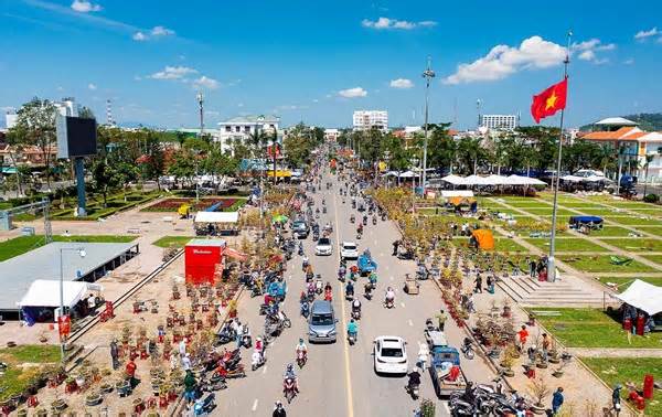 Đường bán hoa Tết lớn nhất tỉnh Quảng Ngãi