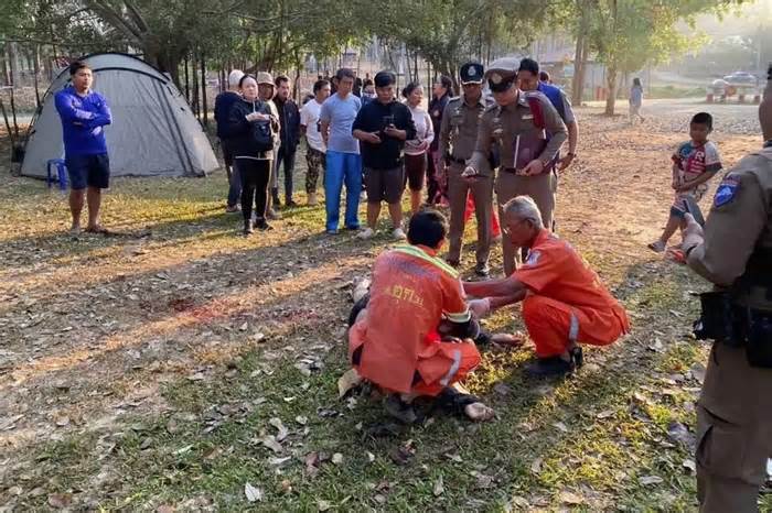 Du khách bị voi giẫm chết ở Thái Lan