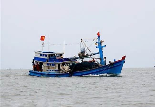 Bình Định: Một ngư dân tử vong do bị nhiễm trùng huyết trên biển