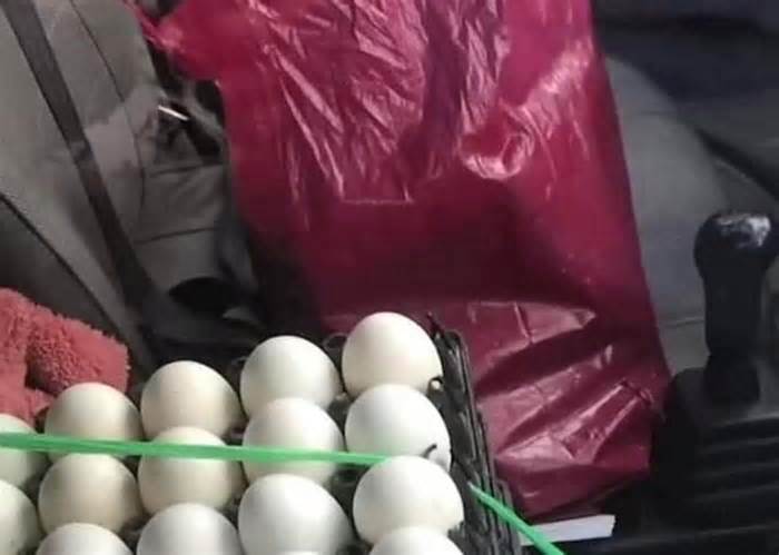 Người bán trứng phát hiện chiếc túi lạ chứa cả tỷ đồng trên xe