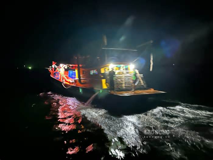 Bắt quả tang tàu cá tàng trữ ngư cụ cấm sử dụng khai thác thủy sản