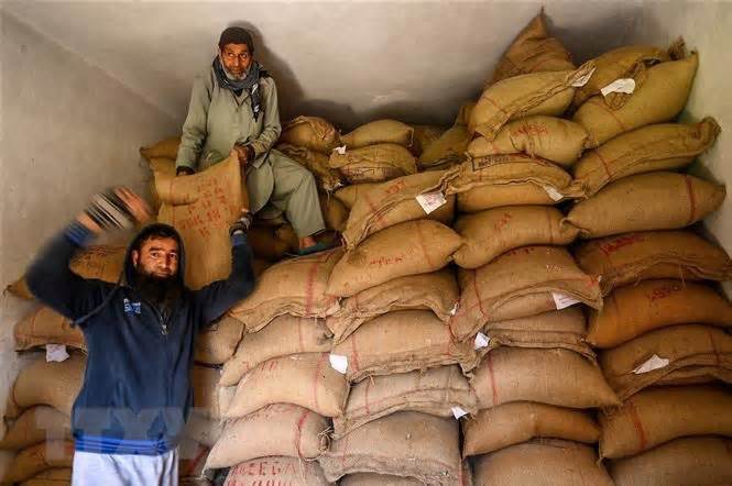 Những quốc gia bị ảnh hưởng từ lệnh cấm xuất khẩu gạo của Ấn Độ