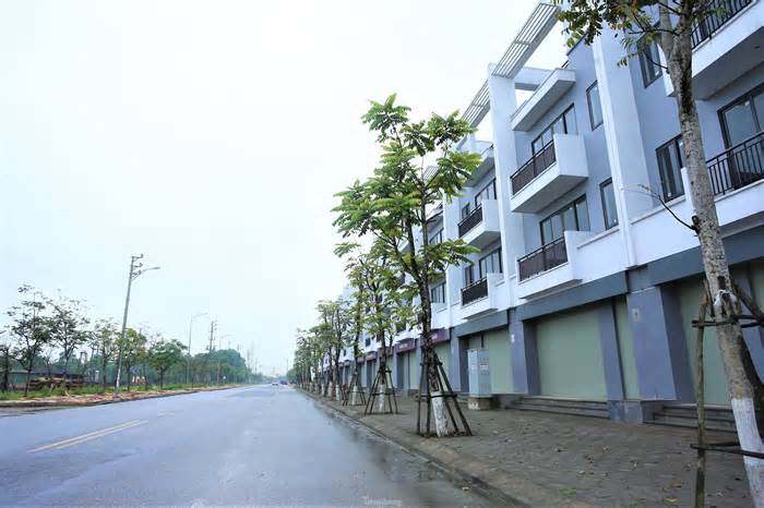 Nhiều địa phương ở Hà Tĩnh bị yêu cầu rà soát các dự án trồng cây xanh