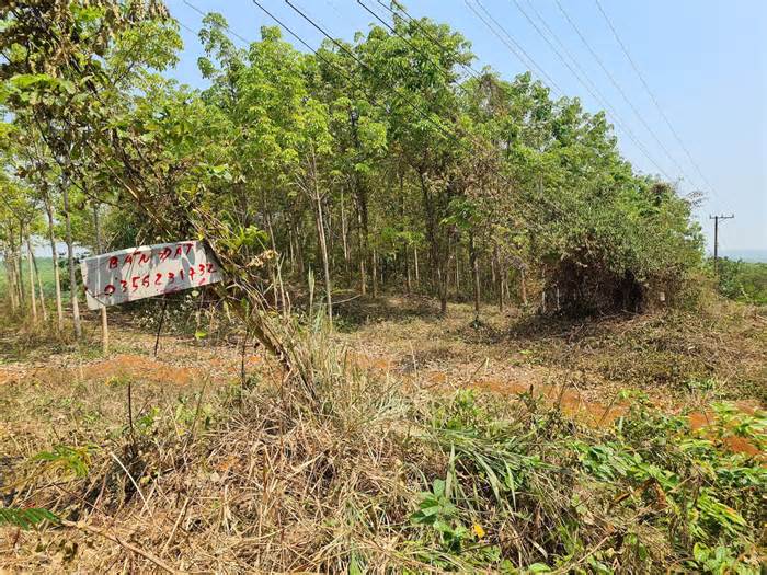 Bình Thuận kỷ luật Phó Chủ tịch và cựu Chủ tịch huyện Hàm Tân