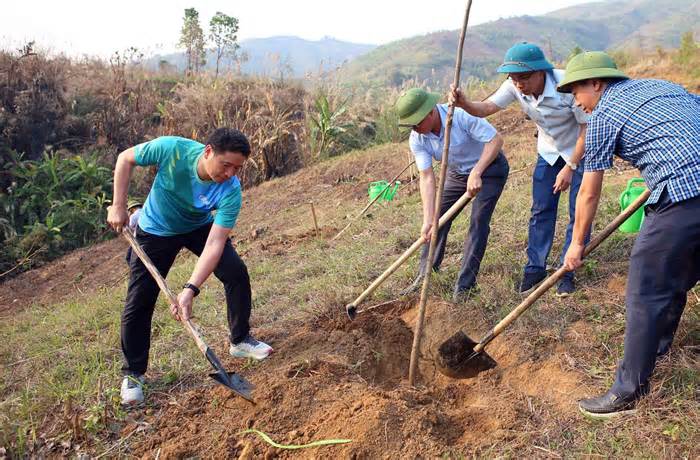 BIDV trồng 2.500 cây xanh tại Lai Châu, cán mốc 300.000 cây trên toàn quốc