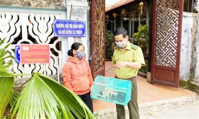Kiếm lâm Thừa Thiên - Huế đến tận chùa vận động không mua bán chim phóng sinh