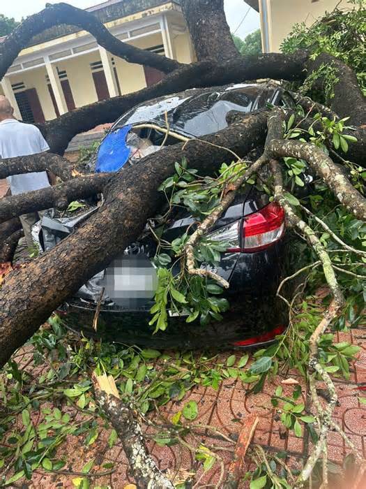 Mưa to, gãy cành xà cừ đè trúng 1 giáo viên, 4 ô tô bẹp rúm ở Thanh Hóa