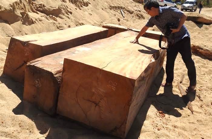 Tin mới vụ gỗ lậu trong bãi chứa cát ở Kon Tum