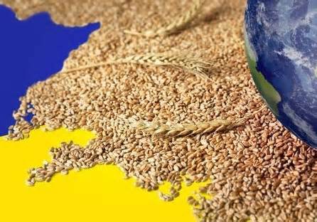Ukraine phản đối việc nới lỏng trừng phạt Nga để đổi thỏa thuận ngũ cốc, Romania nâng cấp cảng Constanta