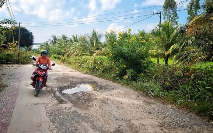 Đường xuống cấp 5 năm, người dân dùng lốp xe, cây khô lấp tạm để đi