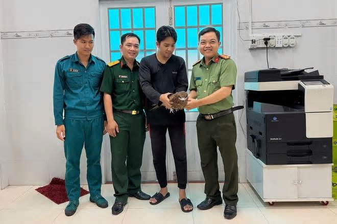 Bắt được chim diều lửa quý hiếm trong vườn, người dân mang giao công an