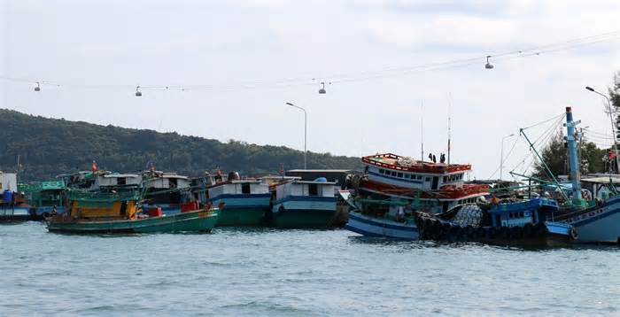 Kiên Giang ngăn chặn tàu cá khai thác hải sản bất hợp pháp