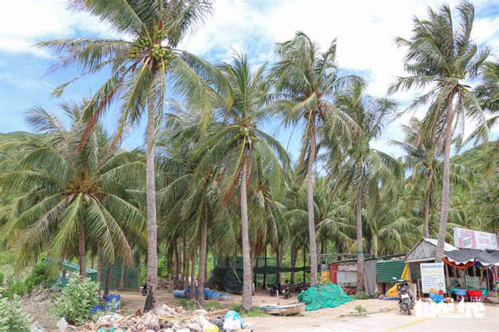 Vụ đứng tên đất giùm Chi hội Người cao tuổi: Nguyên chi hội trưởng đã chịu trả lại đất