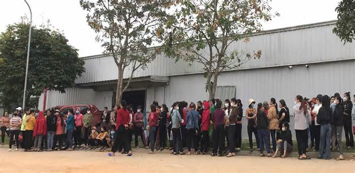 LĐLĐ huyện Thanh Chương thuyết phục 300 công nhân may ngừng việc trở lại nhà máy