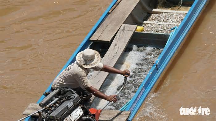 Đợi mãi nước đã về, ngư dân nhộn nhịp ra đồng đánh bắt, mua bán sản vật