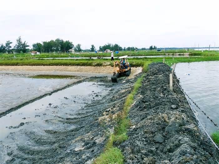 Nghề nuôi tôm ở Quảng Nam gặp khó do nắng nóng, dịch bệnh