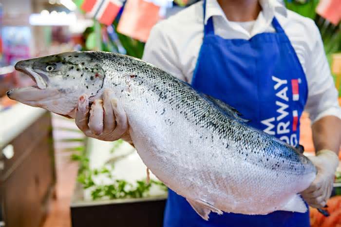 4 tháng, người Việt chi 2.000 tỉ đồng mua cá hồi, saba, cua nâu... từ Na Uy
