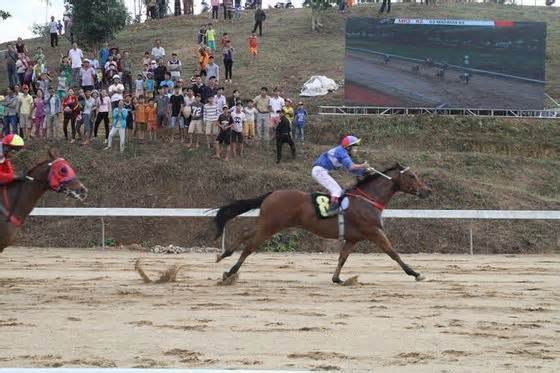 Lâm Đồng cho phép chuyển mục đích sử dụng đất để thực hiện Trường đua ngựa