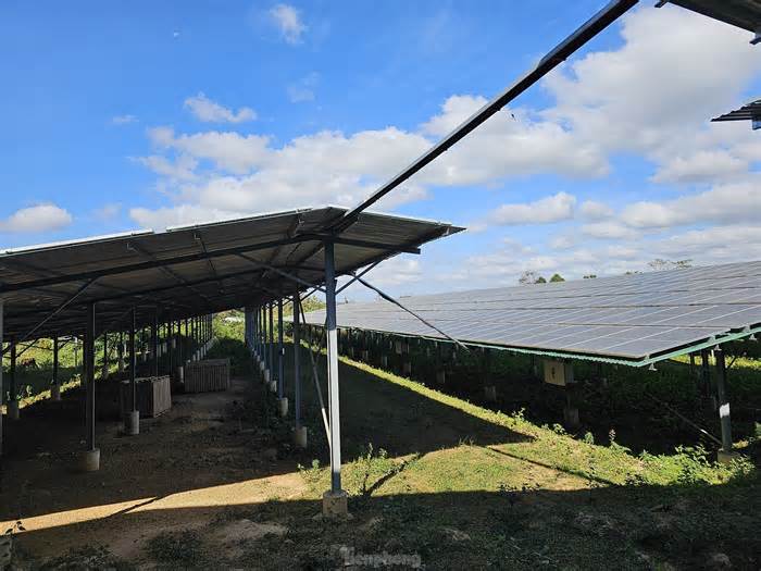 Chấn chỉnh các dự án nông nghiệp 'vẽ' rất hoành tráng nhưng chỉ sản xuất điện mặt trời