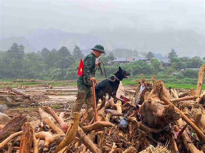 Từ Làng Nủ đến Mường Than: Những chiến binh bốn chân tiếp tục hành trình cứu hộ
