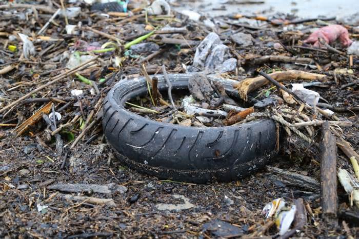 Rác thải, xác chết động vật dạt vào bờ biển Đà Nẵng sau mưa lớn