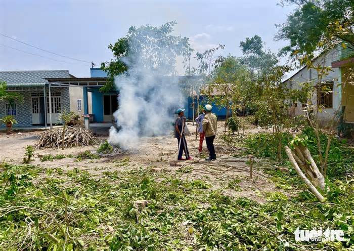 Vành đai 3 TP.HCM: Đồng Nai cam kết giải phóng mặt bằng xong trước tháng 6-2024