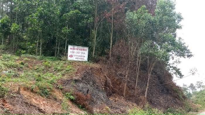 Trước nguy cơ cháy rừng nguy hiểm, tỉnh Thanh Hóa ra công điện khẩn
