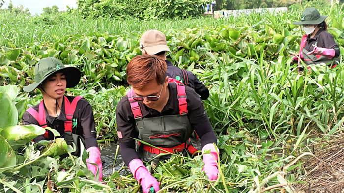 Lập đội nhóm, nối dài vòng tay của Hội Liên hiệp Thanh niên Việt Nam