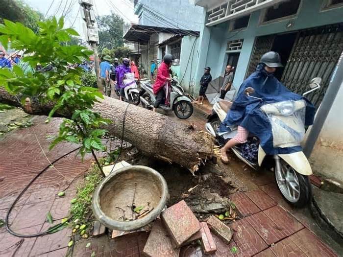 Mưa đá kèm dông lốc ở Lào Cai gây ngập úng nhà dân, hàng loạt cây xanh bị gãy đổ