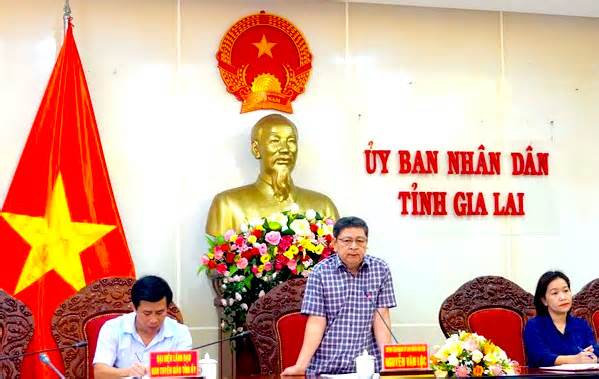 Chánh văn phòng UBND tỉnh Gia Lai xin nghỉ hưu trước tuổi