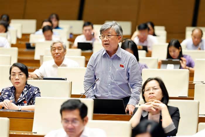 Đại biểu Quốc hội: Có cách quản lý để tránh đô la hóa, “chảy máu” tài chính