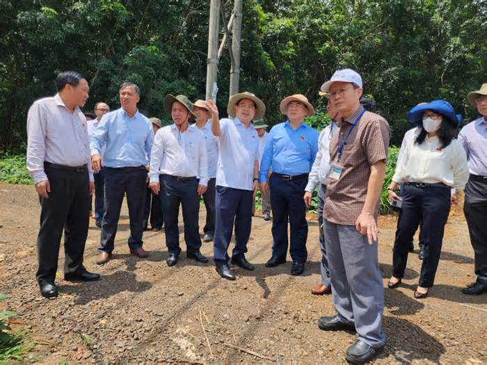 Khu dân cư đô thị Dầu Giây: Yêu cầu làm rõ việc giao đất làm dự án