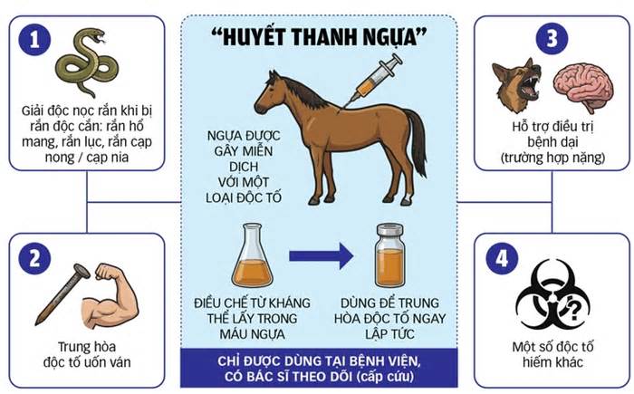 Năm Ngọ nói chuyện ngựa cứu người trong y học