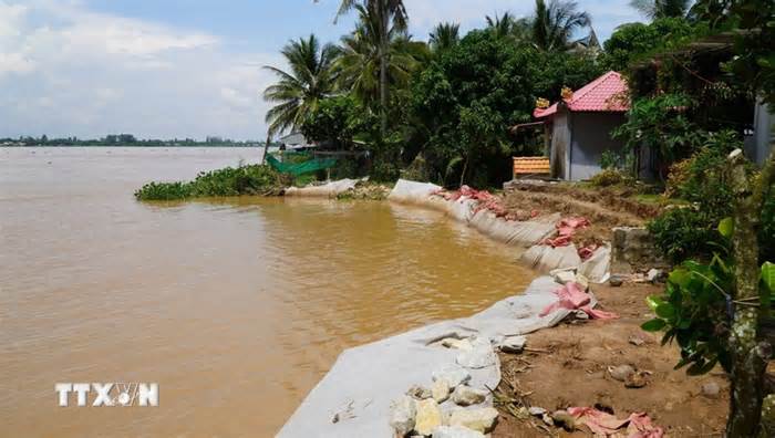 Đồng Tháp: Công bố tình huống khẩn cấp sạt lở bờ sông Tiền