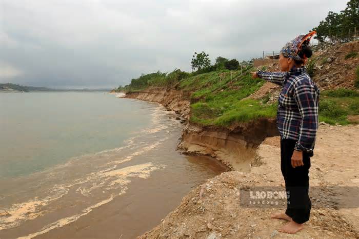 Bờ sông Đà sạt lở nghiêm trọng, uy hiếp hàng trăm hộ dân ở Phú Thọ