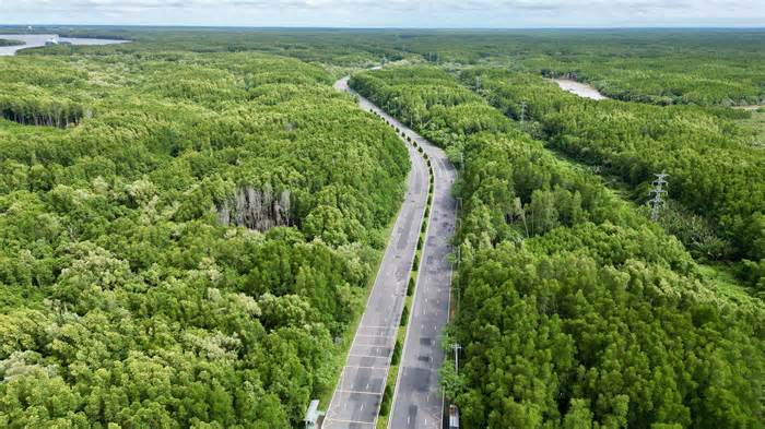 Ngắm tuyến đường hơn 1.500 tỉ đồng xuyên rừng già ở Cần Giờ