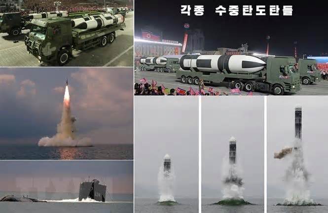 HĐBA cần đóng vai trò lớn hơn trong vấn đề hạt nhân Triều Tiên